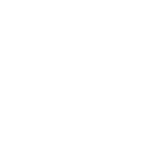 Perry Main Logo White